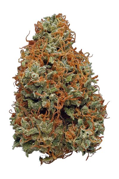 Liberty Haze - Hybrid Cannabis Strain