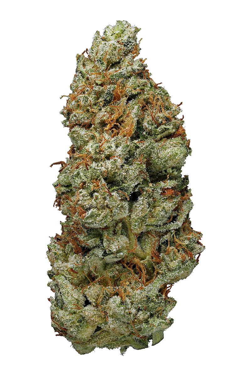 Lime OG Kush - Hybrid Cannabis Strain