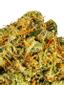 Lime OG Hybrid Cannabis Strain Thumbnail