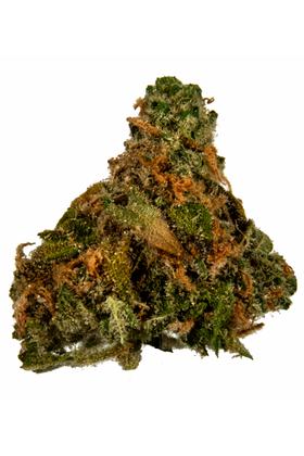 Limelight - 混合物 Cannabis Strain