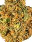 Lion's Mane Hybrid Cannabis Strain Thumbnail