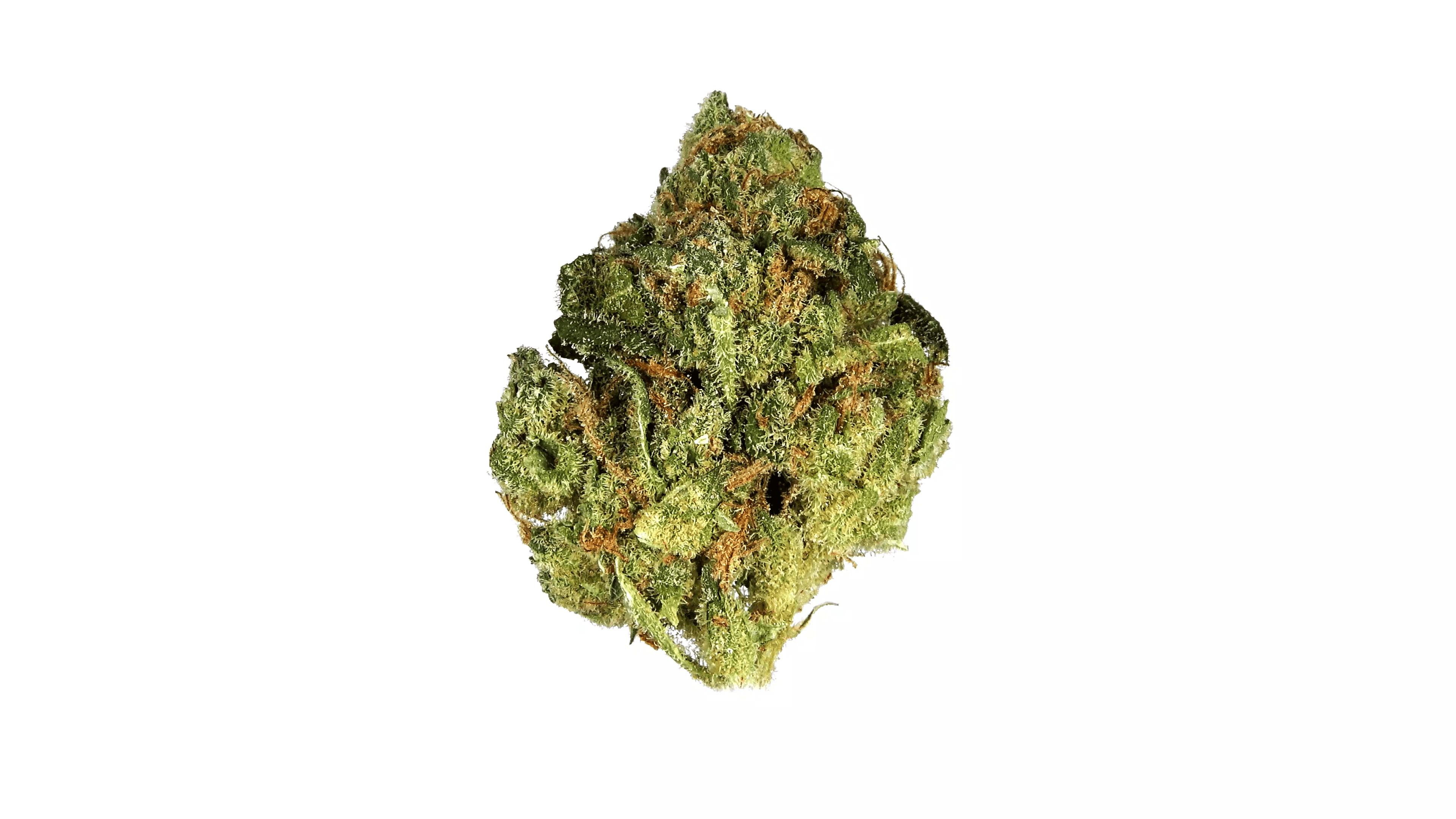 Long's Peak Blue - Hybrid Strain