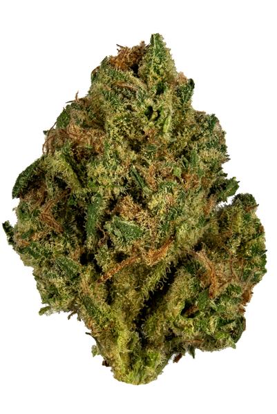 Long's Peak Blue - Hybrid Cannabis Strain