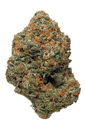 Louis XIII - Hybrid Cannabis Strain