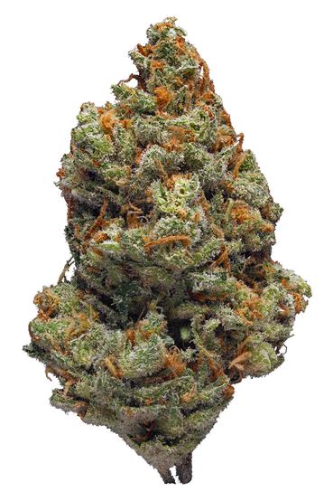 Love Potion #1 - Hybrid Cannabis Strain