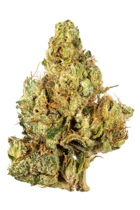 Love Seed - Hybrid Cannabis Strain