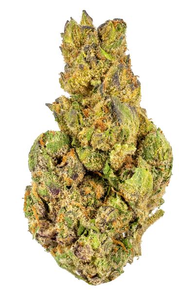 LPC x KM10 - Híbrido Cannabis Strain