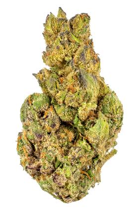 LPC x KM10 - Hybrid Cannabis Strain