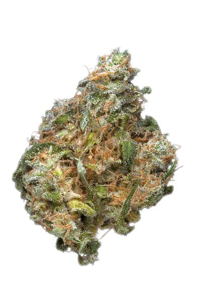 MK Ultra - Indica Cannabis Strain