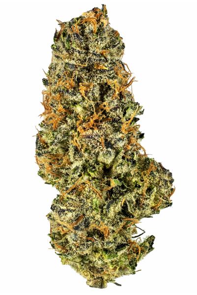 Mac N Cheese - Hybride Cannabis Strain