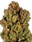 Mad Man Hybrid Cannabis Strain Thumbnail