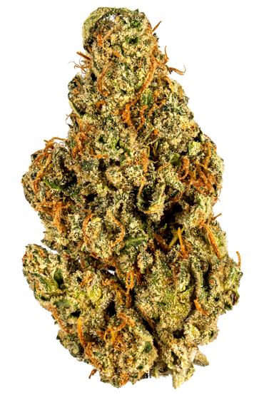 Mai Tai - Hybrid Cannabis Strain