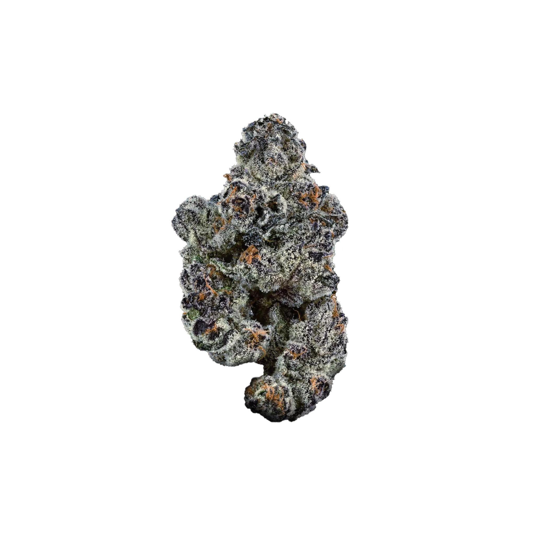 Blue Lobster Product Image