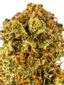 Mandarin Dreams Hybrid Cannabis Strain Thumbnail