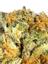 Mandarin Zkittlez Hybrid Cannabis Strain Thumbnail