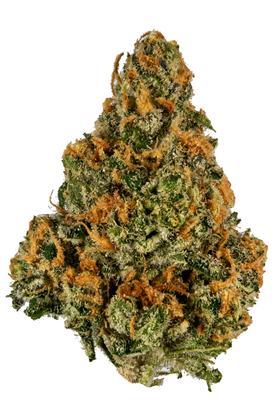 Mango Kush - Hybrid Cannabis Strain