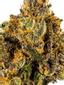 Mango OG Hybrid Cannabis Strain Thumbnail