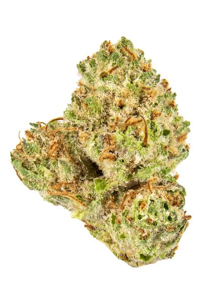 Mango Sapphire - Hybrid Cannabis Strain