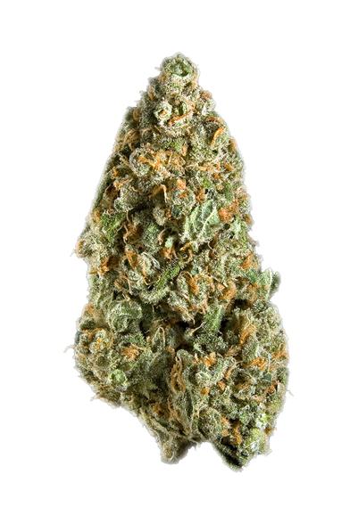 Mango - Indica Cannabis Strain