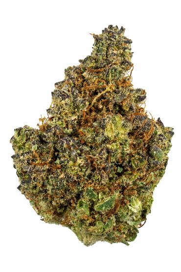 Maqui Gelato - Hybrid Cannabis Strain