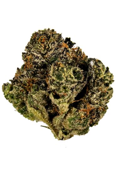Margaritaz - Hybrid Cannabis Strain
