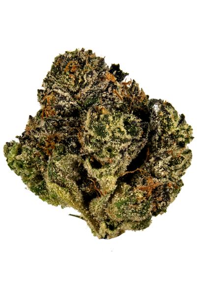 Margaritaz - Hybride Cannabis Strain