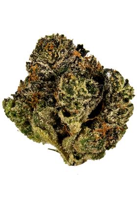 Margaritaz - Hybrid Cannabis Strain