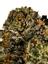 Margaritaz Hybrid Cannabis Strain Thumbnail