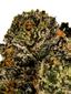Margaritaz Hybrid Cannabis Strain Thumbnail