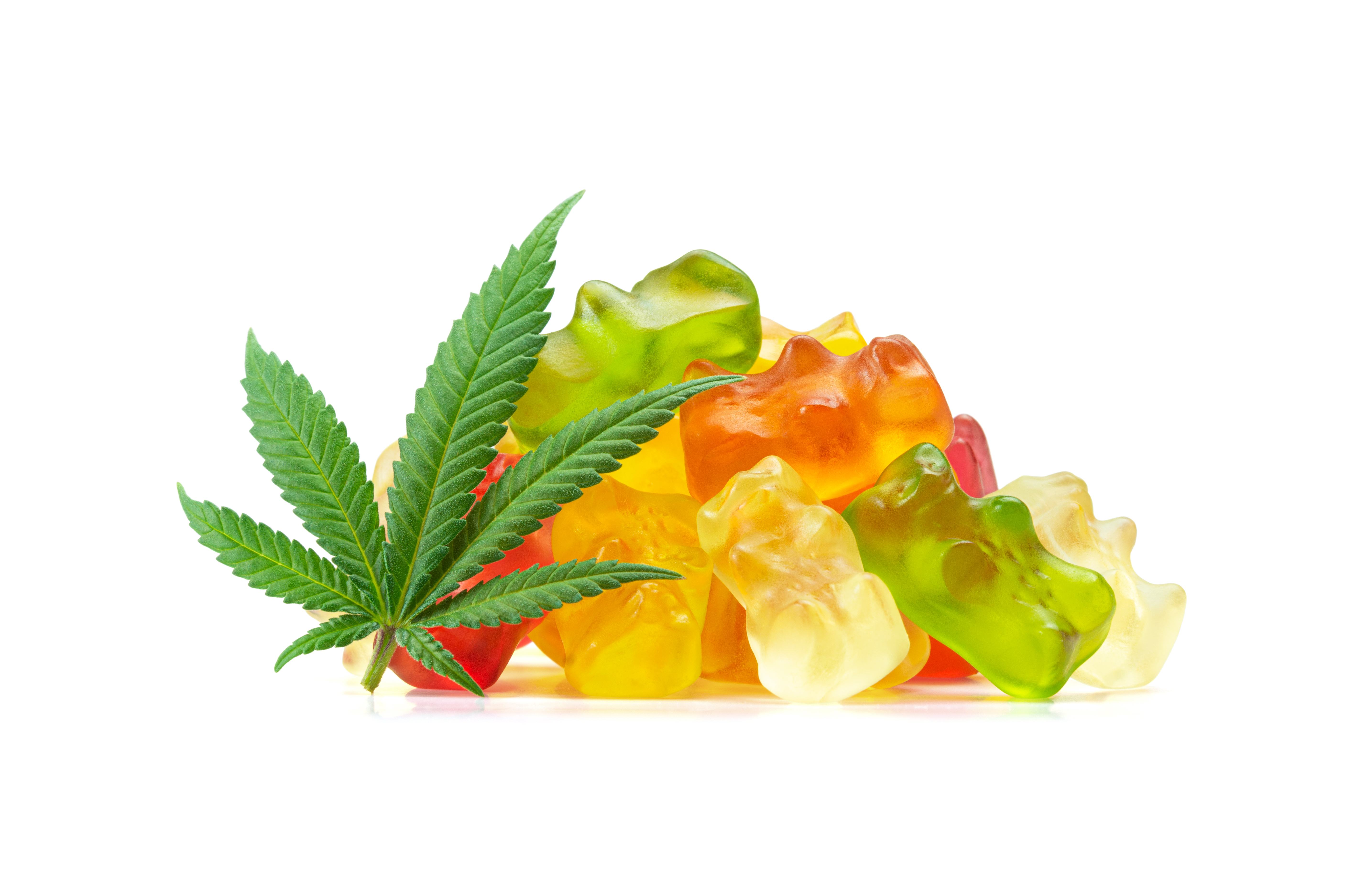 A cannabis leaf lays on top of gummies on a white background.