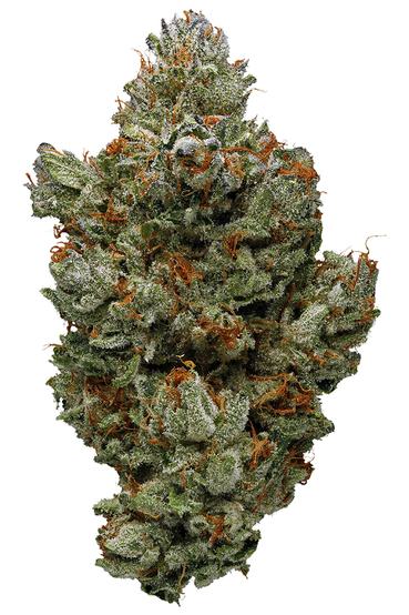 Master Bubba - Indica Cannabis Strain