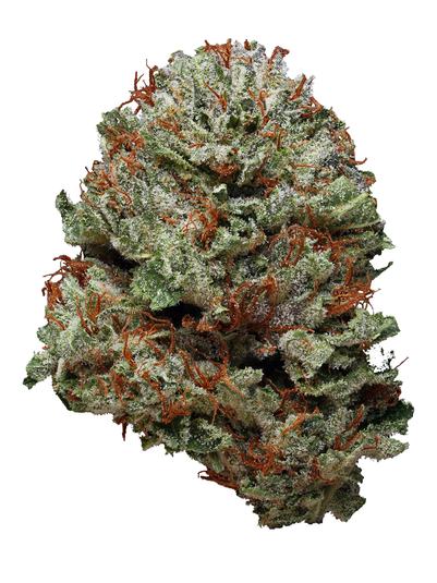 Master Jedi - Indica Cannabis Strain