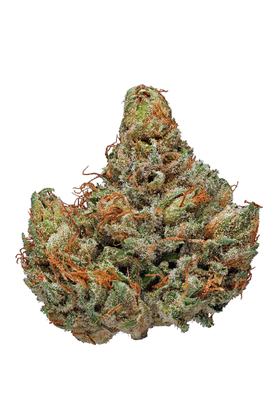 Master Kush - Indica Cannabis Strain