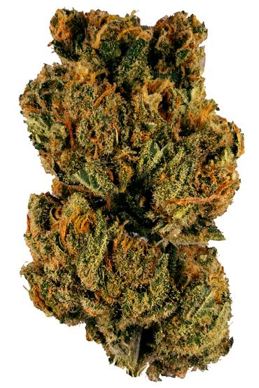 MediHaze - Hybrid Cannabis Strain