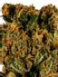 Med Haze Hybrid Cannabis Strain Thumbnail