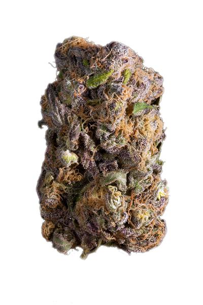 Medicine Man - Hybride Cannabis Strain