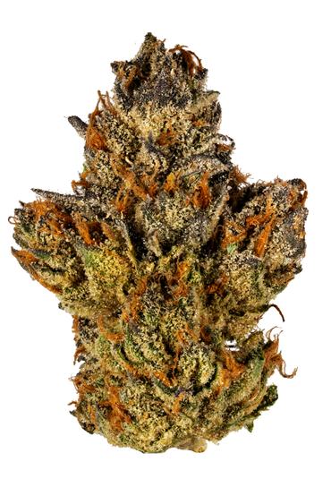 Sherbert - Hybrid Cannabis Strain