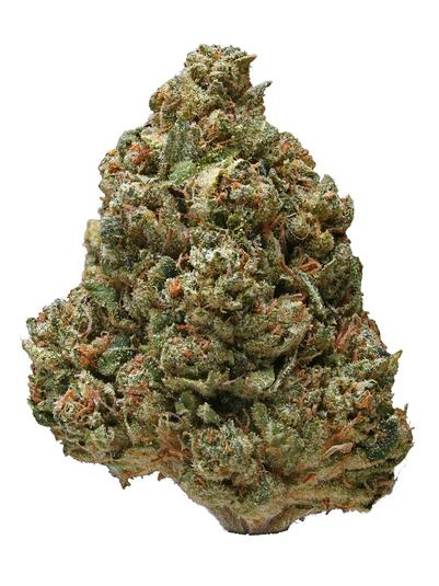 Medusa - Híbrida Cannabis Strain