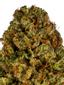 Melonade Hybrid Cannabis Strain Thumbnail
