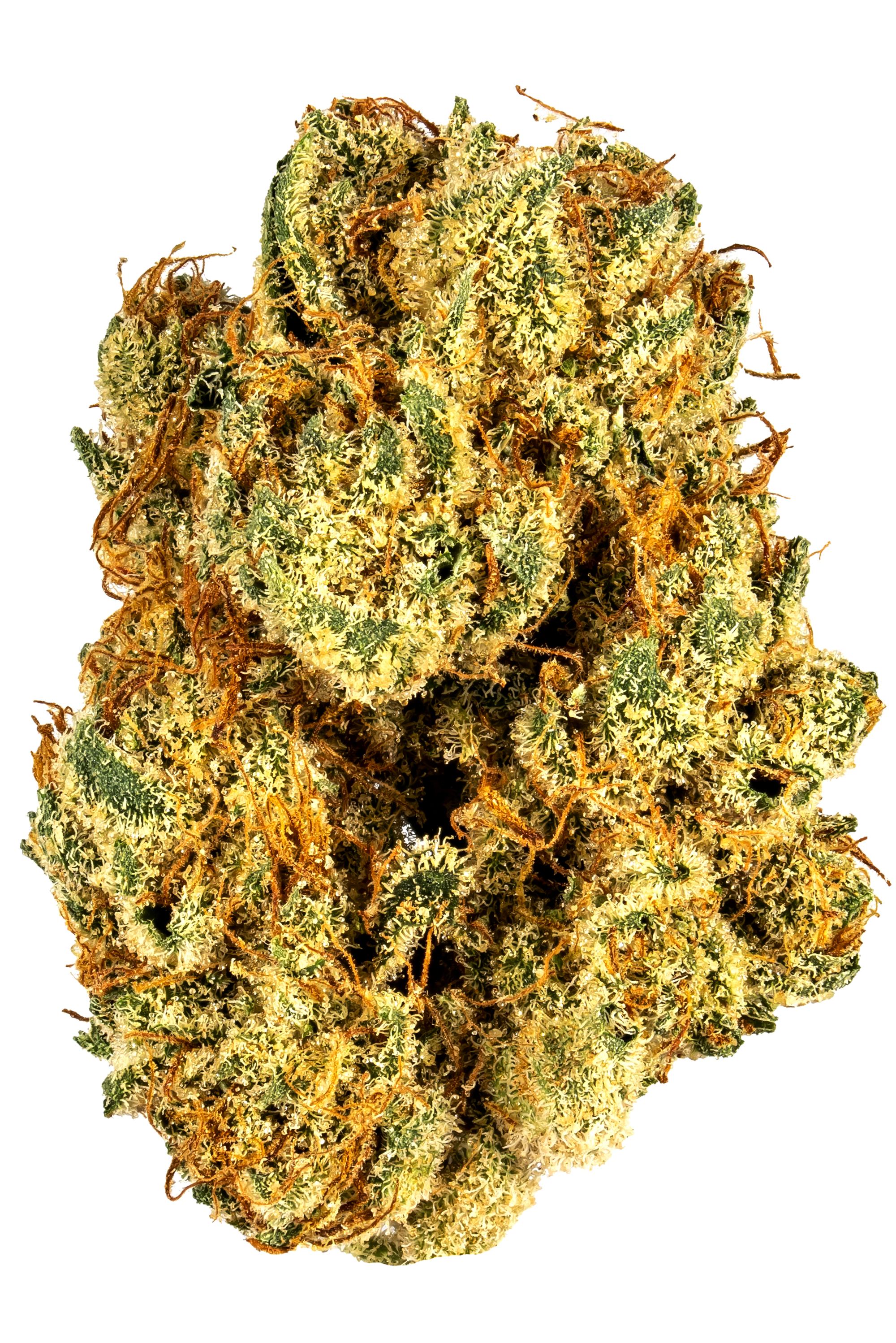 Meltdown - Hybrid Cannabis Strain