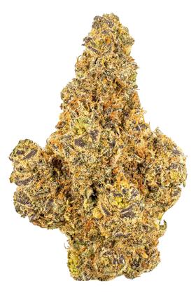 Member Berry - Híbrido Cannabis Strain