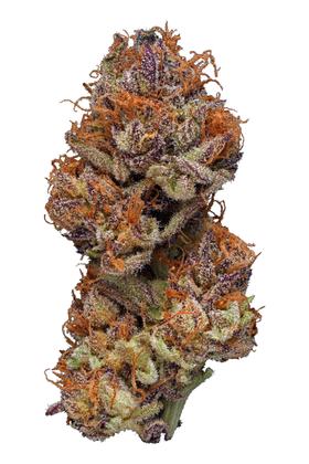 Mendo Purple Urkle - Hybrid Cannabis Strain