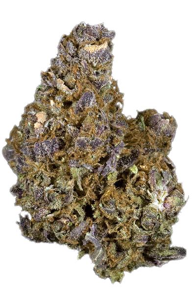 Mendocino Purps - Hybrid Cannabis Strain