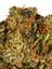 Miami Heat Hybrid Cannabis Strain Thumbnail