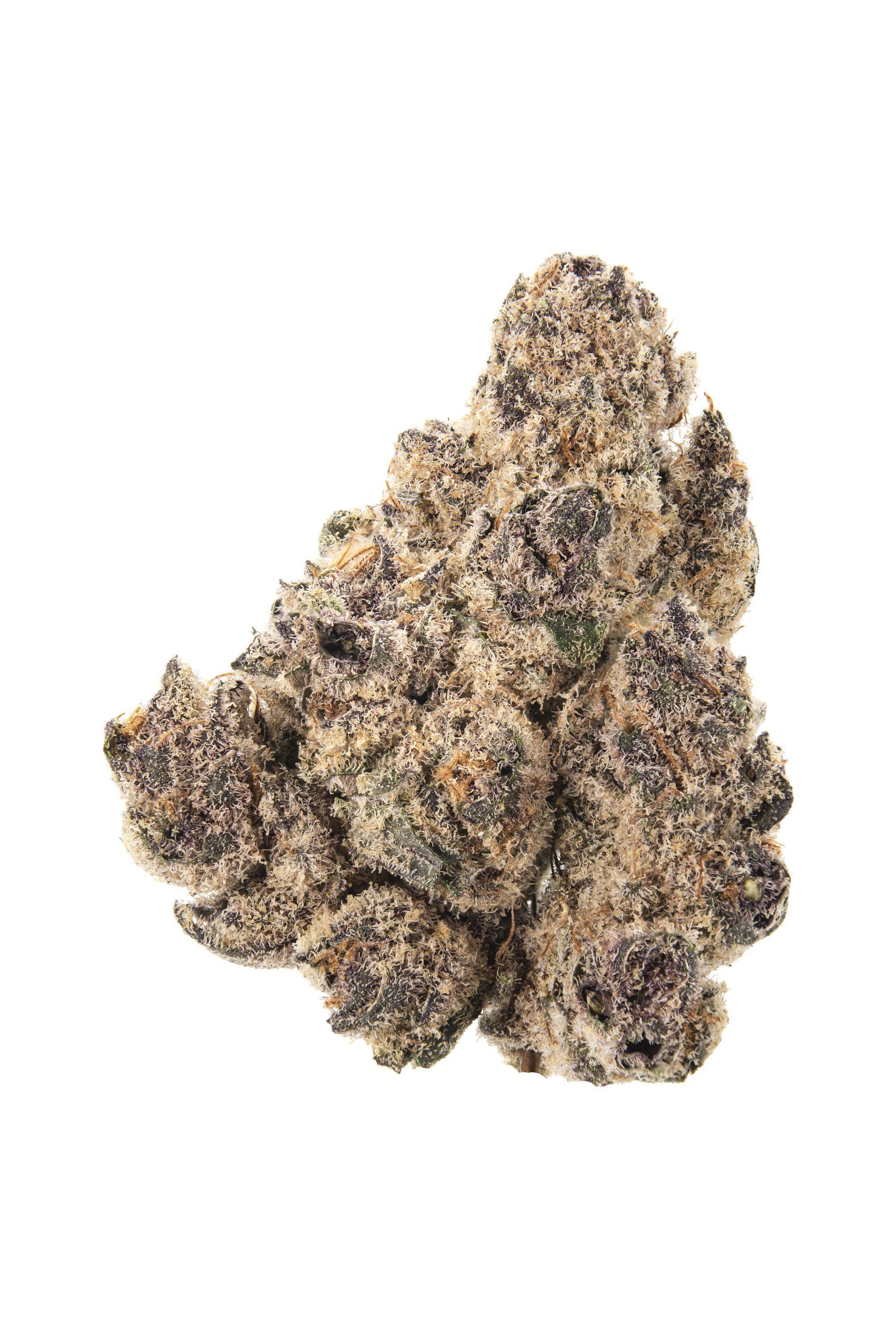 Miami Madness Cannabis Strain Bud