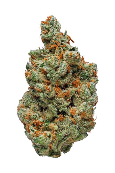 Micky Kush - Hybrid Cannabis Strain