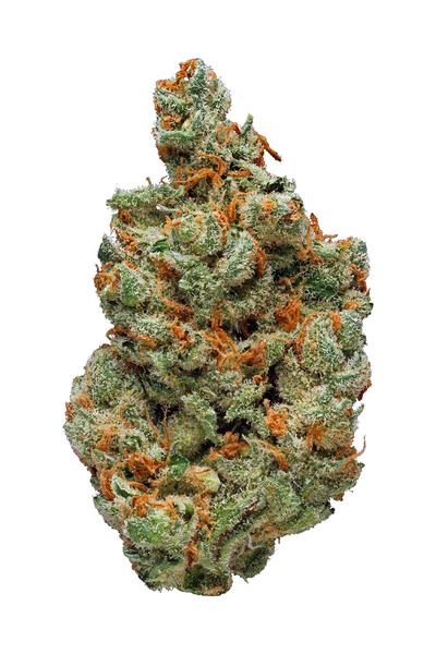 Micky Kush - Híbrida Cannabis Strain