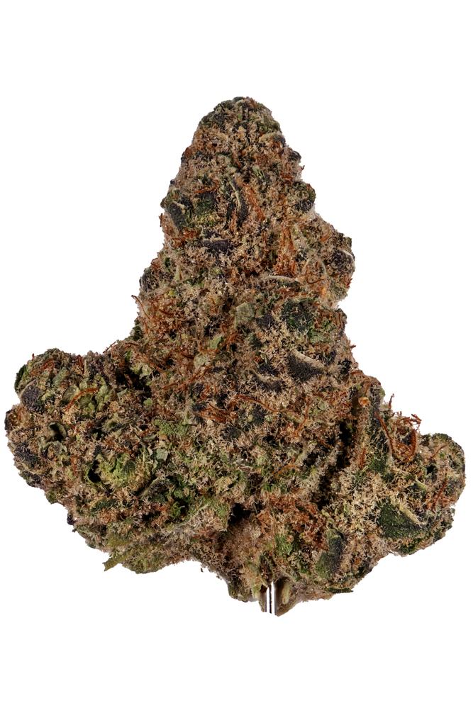 Strain Review