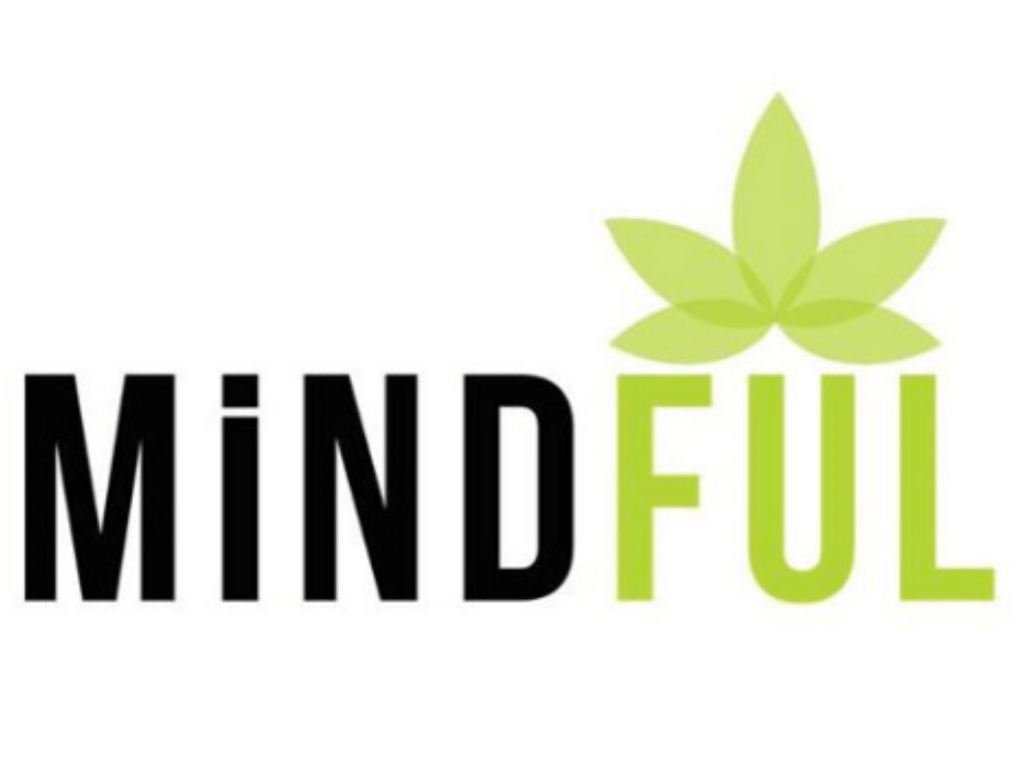 MiNDFUL  Logo