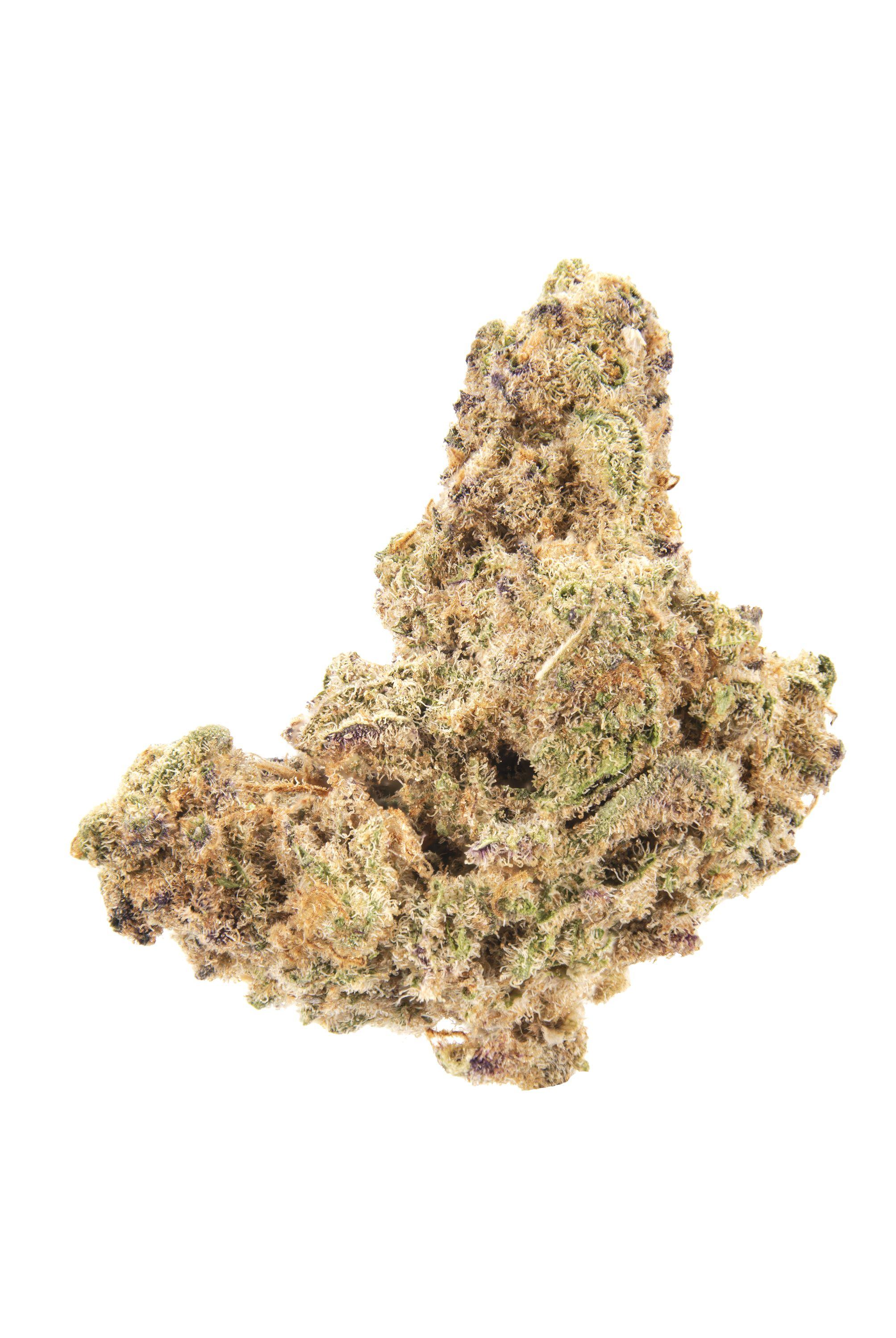 Mint Chocolate Cannabis Strain Bud